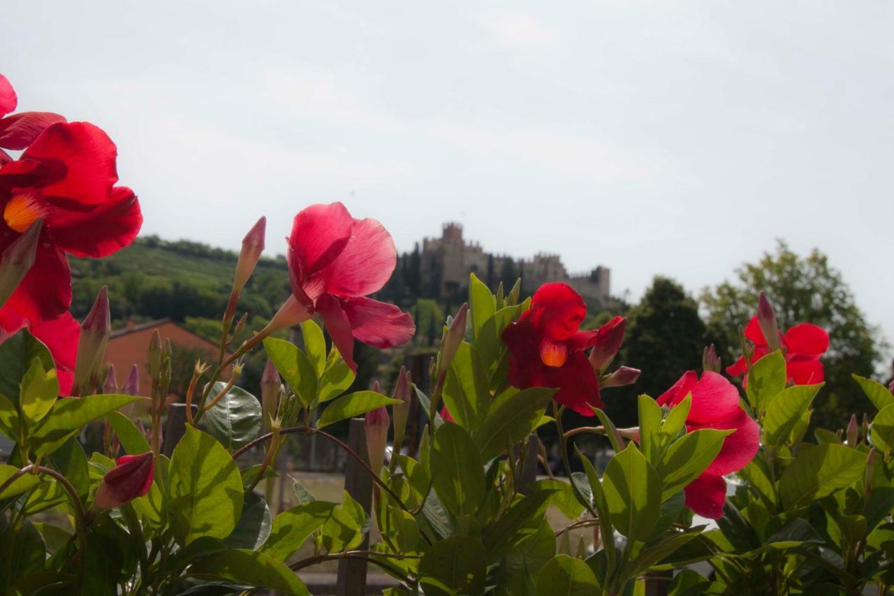 La Finestra Sul Castello 호텔 소아베 외부 사진